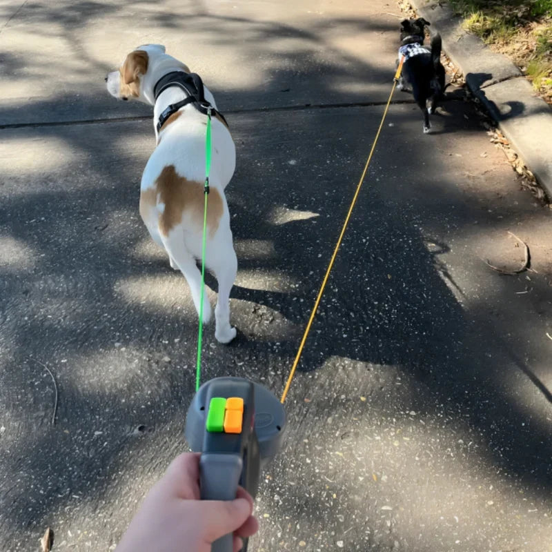 Retractable Leash