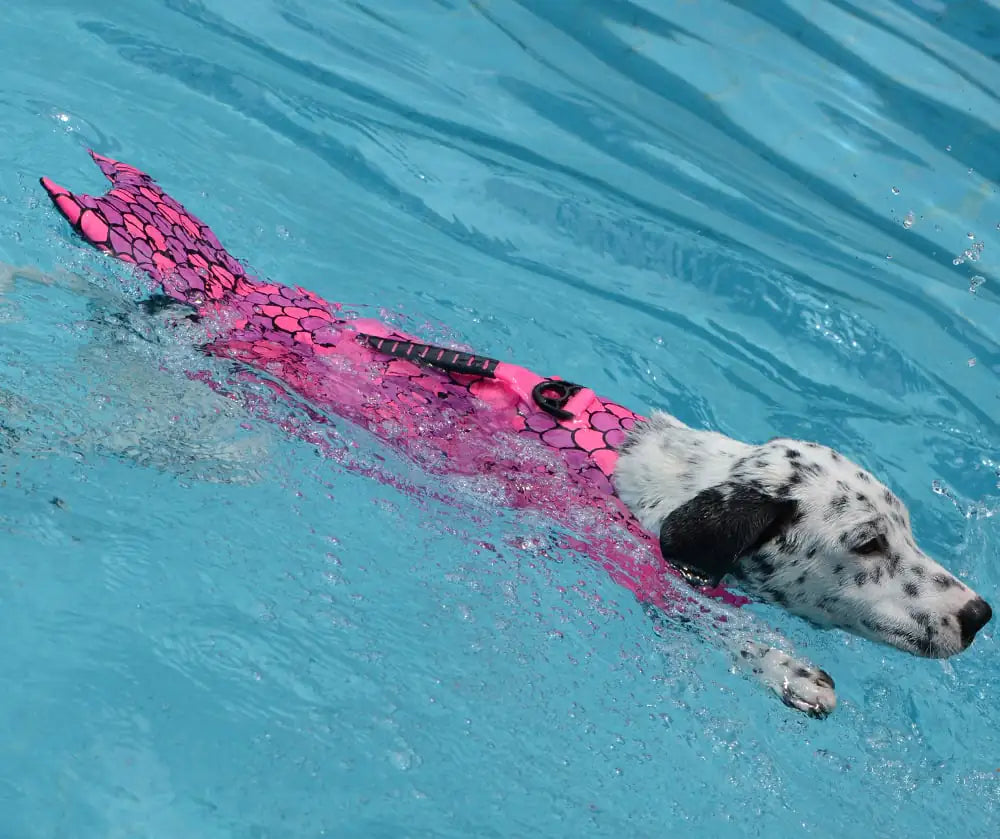 Mermaid Shark Dog Life Vest for Swimming