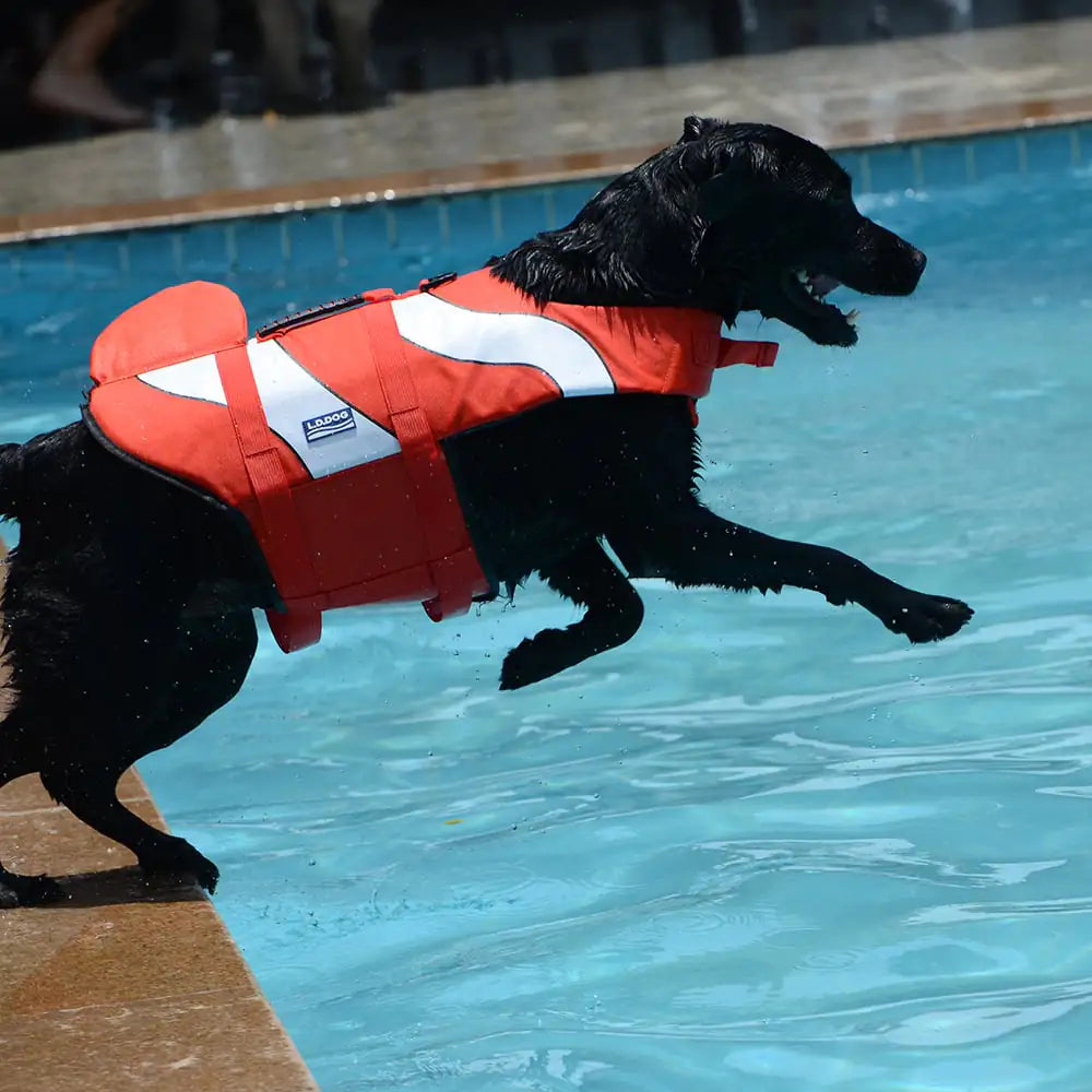 Mermaid Shark Dog Life Vest for Swimming